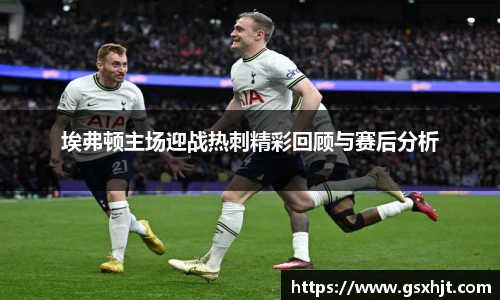 埃弗顿主场迎战热刺精彩回顾与赛后分析